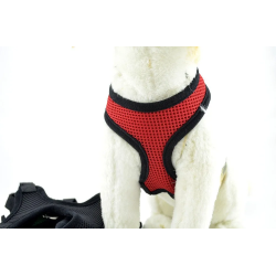 Arnés para cachorros rojo