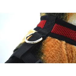 Arnés para cachorros rojo