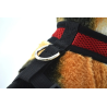 Arnés para cachorros rojo